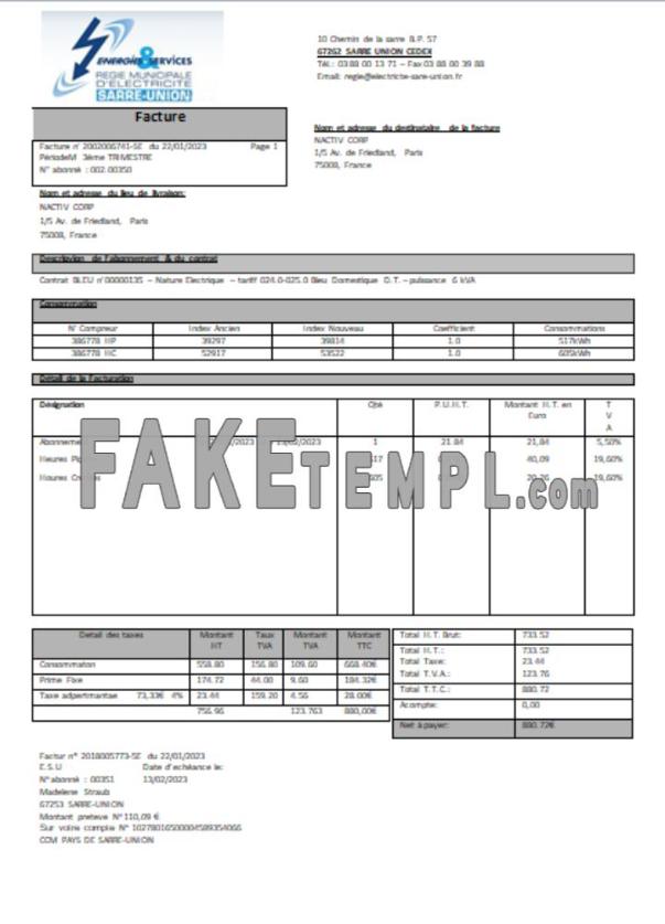 Energies & Services Regie Municipal d Electricite Sarre-Union electricity fake business utility bill Word and PDF template